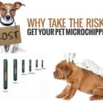 CAB-Z05 Microchips Syringe