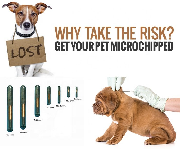 CAB-Z05 Microchips Syringe